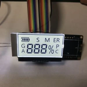 Individualizuoto segmento LCD modulis su apšvietimu